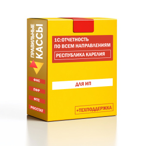 Отчетность_ИП_Республика Карелия